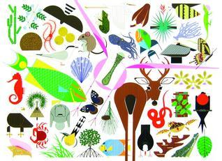 Charley Harper's Animal Kingdom book cover