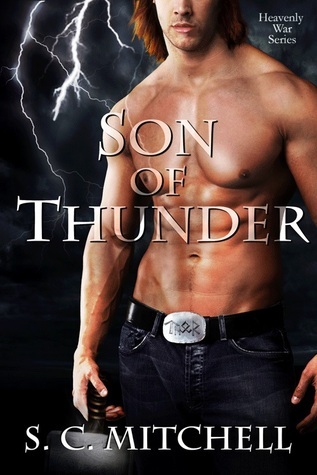 Son of Thunder book cover