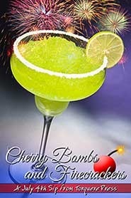 Fourth of July Fireworks book cover