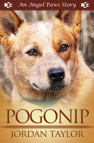 Pogonip