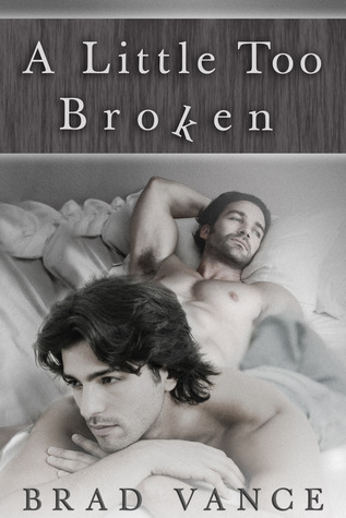 A Little Too Broken book cover