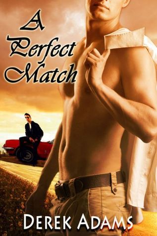A Perfect Match book cover