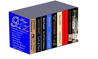 9 Ways To Fall In Love book cover