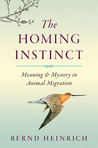 The Homing Instinct book cover