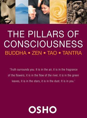 Pillars of Consciousness book cover