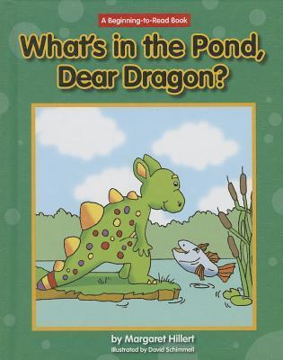 Beginning-To-Read ~ español book cover 2