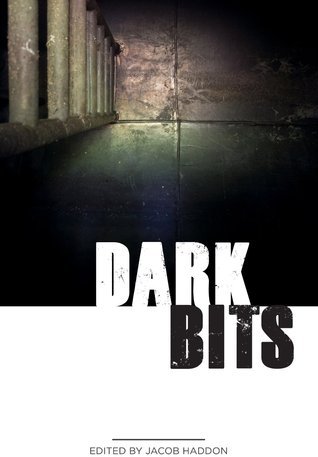 Dark Bits book cover