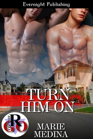 Turn Him On book cover