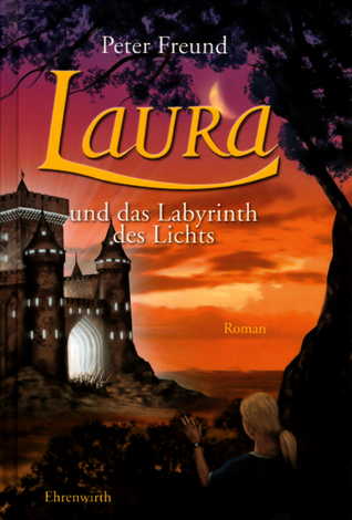 Laura und das Labyrinth des Lichts book cover