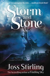 Storm and Stone book cover