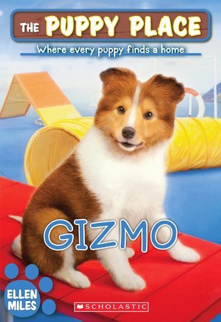 Gizmo book cover