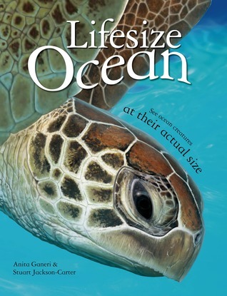 Lifesize book cover