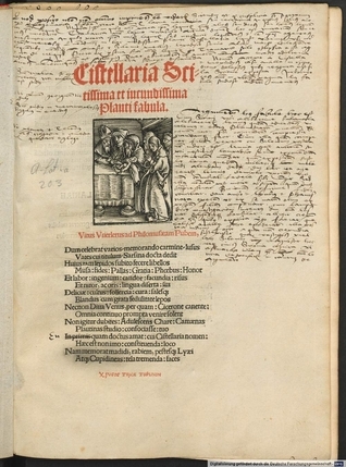 La comedia de la cestita book cover