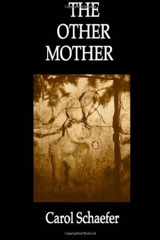 The Other Mother: A Woman's Love for the Child She Gave Up for Adoption