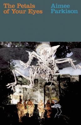 The Petals of Your Eyes book cover