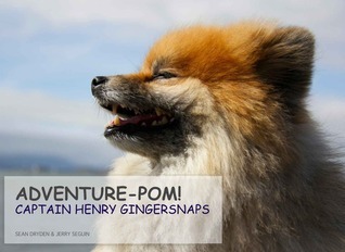 Adventure-Pom! cover