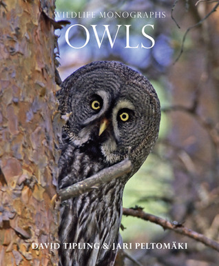 Owls (Wildlife Monographs) by David Tipling | Goodreads
