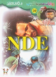 NDE book cover