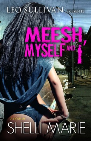 Meesh book cover 1