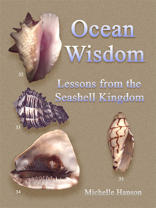 Ocean Wisdom Lessons From The Seashell Kingdom