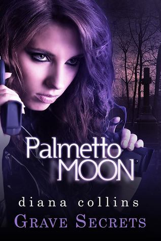 Palmetto Moon book cover 2