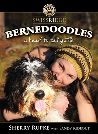 Bernedoodles:  A Head to Tail Guide
