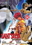 Saint Seiya book cover