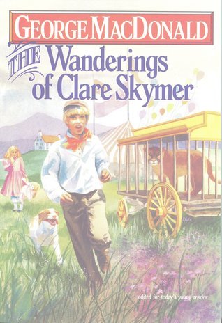 The Wanderings of Clare Skymer book cover