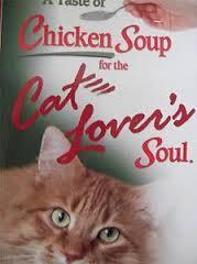 A Taste of Chicken Soup for the Cat Lover's Soul book cover