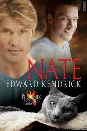 Nate book cover