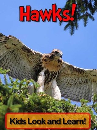 Hawk Reading Hawks! Learn About Hawks and Enjoy Colorful Pictures - Look and Learn ...