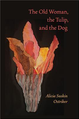 The Old Woman, the Tulip, and the Dog book cover
