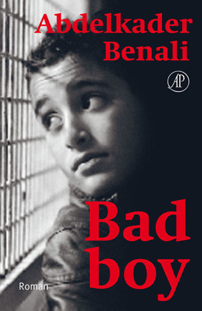 Bad Boy book cover