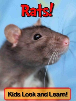 Rats! Learn About Rats and Enjoy Colorful Pictures - Look and Learn! by ...