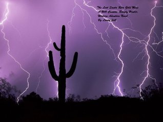 The Lost Santa Rita Gold Mine book cover