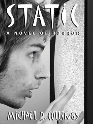 Static! book cover