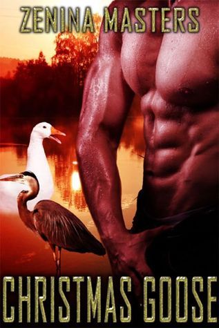 Christmas Goose book cover