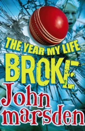 The Year My Life Broke book cover