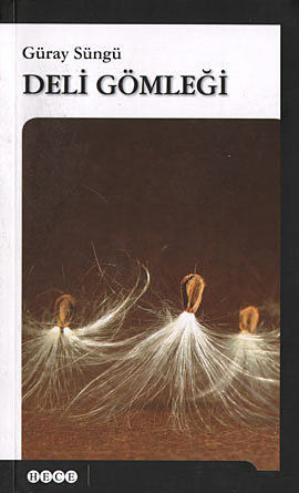 Deli Gömleği book cover