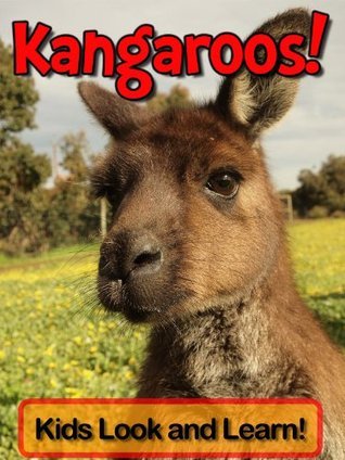 Kangaroos! Learn About Kangaroos and Enjoy Colorful Pictures - Look and ...