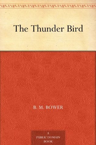 The Thunder Bird book cover