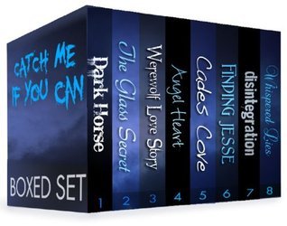 Catch Me If You Can book cover