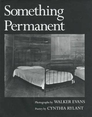 Something Permanent book cover