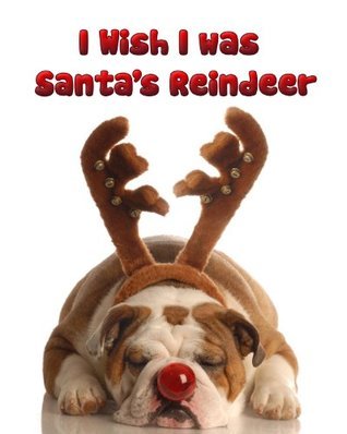 I Wish I was Santa's Reindeer book cover