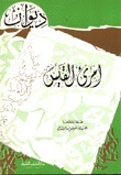 ديوان امرئ القيس book cover