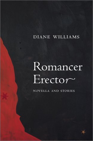 Romancer Erector book cover