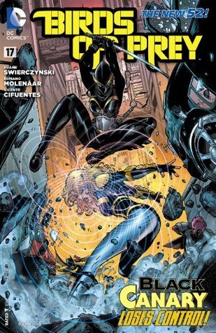 Birds of Prey #17 book cover