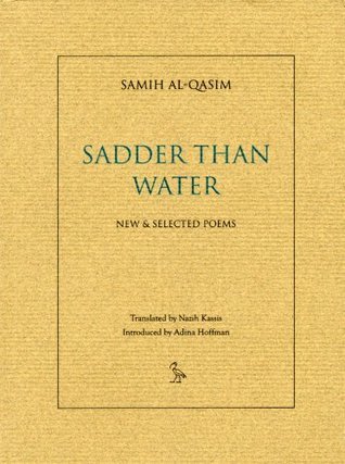 Sadder than Water book cover