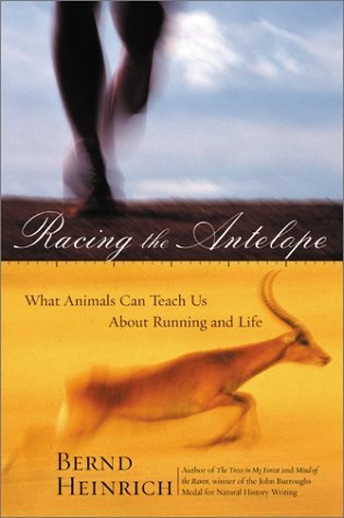 Racing the Antelope book cover