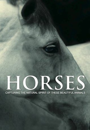 Spirit of Horses book cover